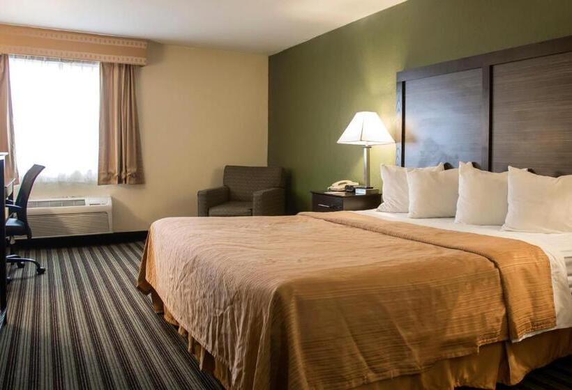 带大床的标准间, Quality Inn & Suites Loves Park Near Rockford