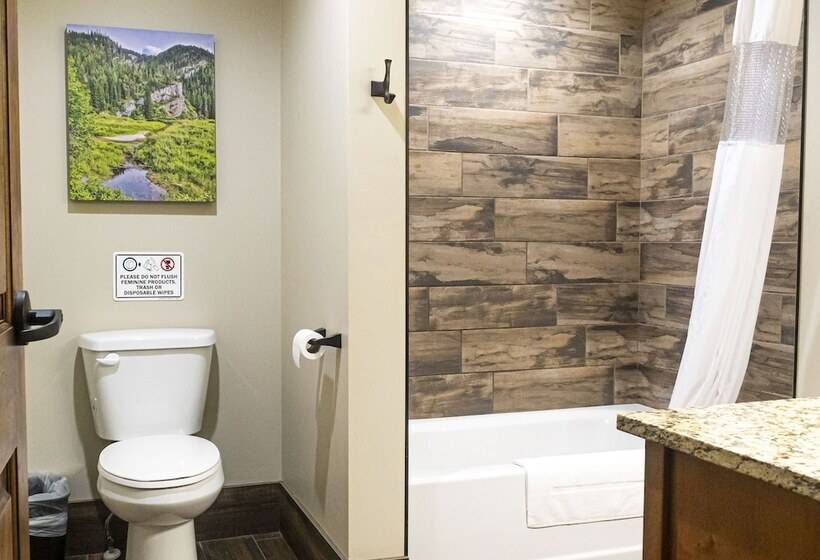 Люкс Повышенной Комфортности, Sawtelle Mountain Resort
