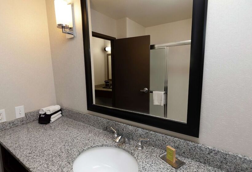 ２ダブルベッドのスタンダードルーム, President Abraham Lincoln Springfield   Doubletree By Hilton