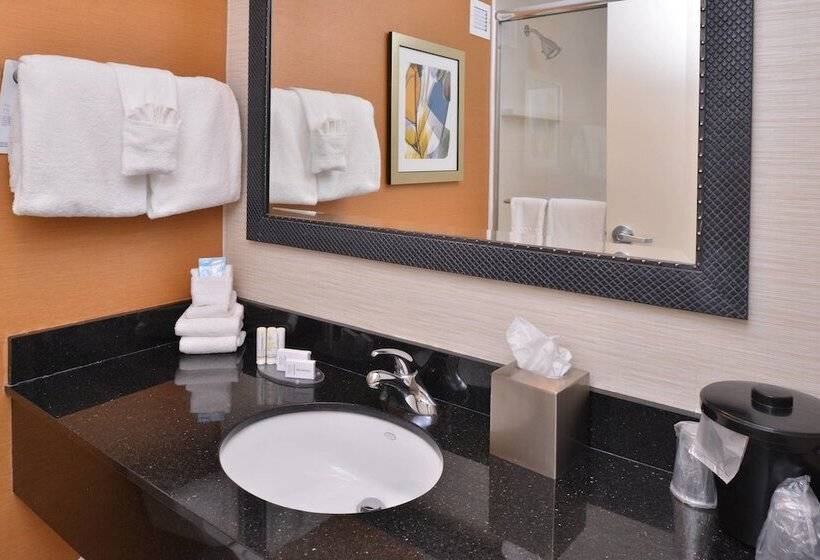 Номер Стандарт 2 Двуспальные Кровати, Fairfield Inn Rochester Airport