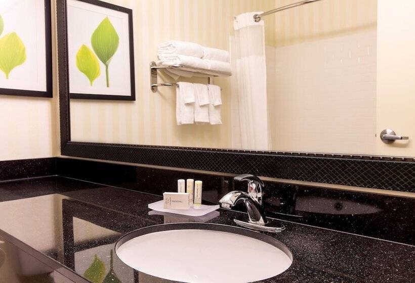 Президентский Люкс, Fairfield Inn & Suites Minneapolis Eden Prairie