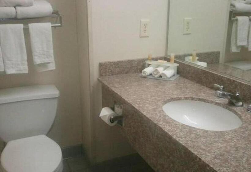 Номер Стандарт, Quality Inn & Suites Schoharie Near Howe Caverns