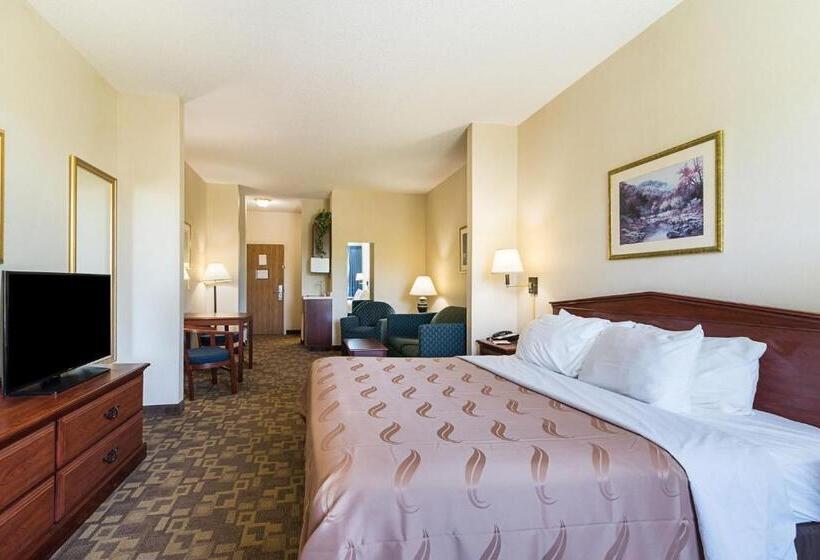Стандартный Номер Кровать Кинг, Quality Inn & Suites Schoharie Near Howe Caverns