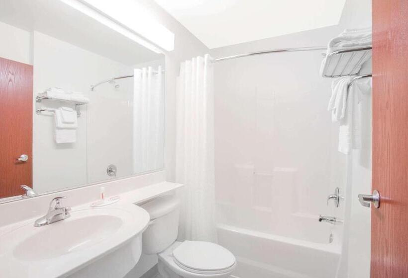 디럭스 스위트, Microtel Inn And Suites Gassaway