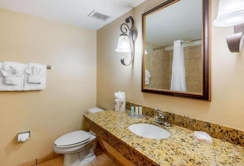 스탠다드 룸, Clarion Inn Ormond Beach At Destination Daytona