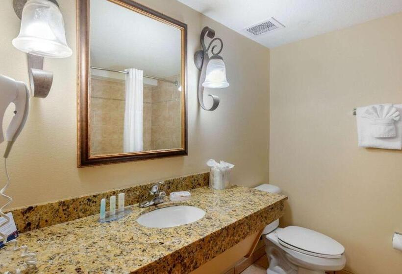 스위트 킹사이즈 침대, Clarion Inn Ormond Beach At Destination Daytona