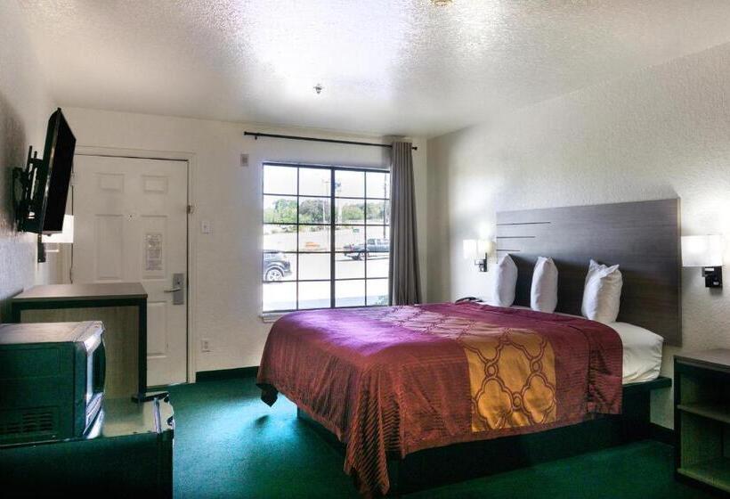 带大床的标准间, Country Hearth Inn & Suites San Antonio Medical Center