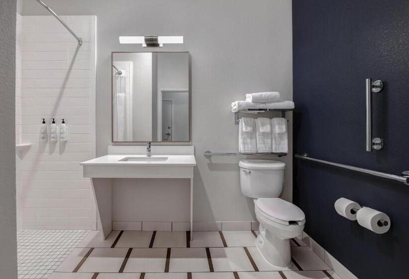 Стандартный Номер Кровать Кинг, Fairfield Inn & Suites By Marriott Greenwood