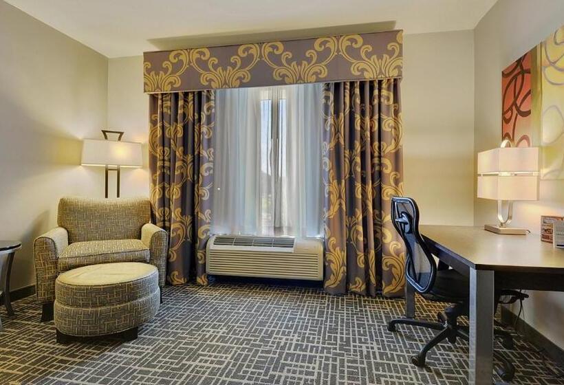 스탠다드 룸 킹사이즈 침대, Holiday Inn Express & Suites Gonzales By Ihg