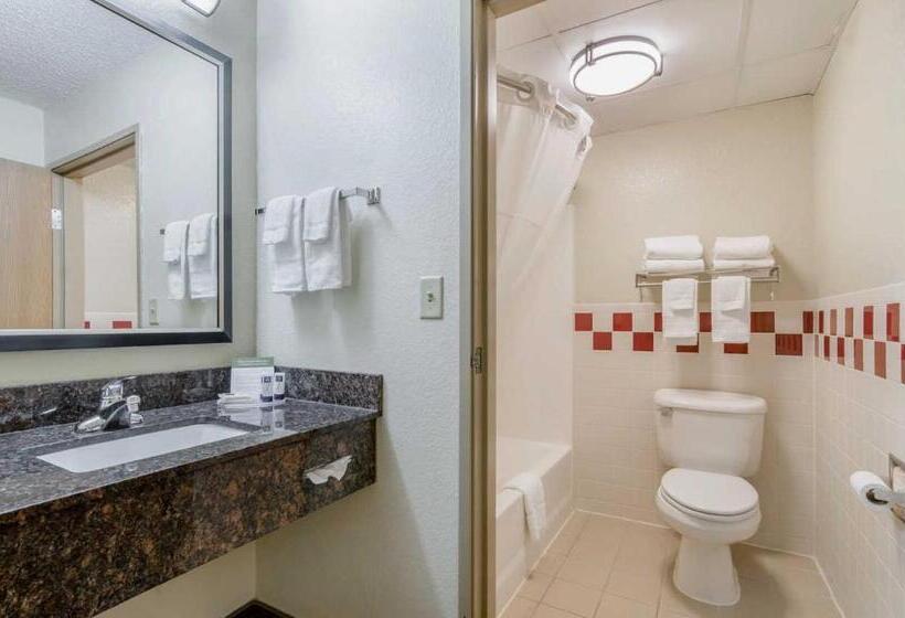 Номер Стандарт, Rodeway Inn