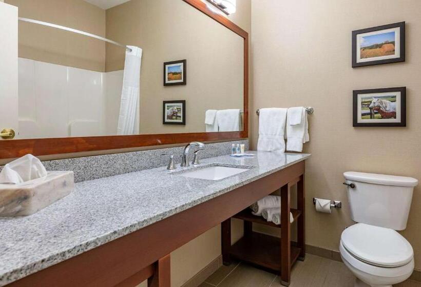 Номер Стандарт, Comfort Inn & Suites Northern Kentucky