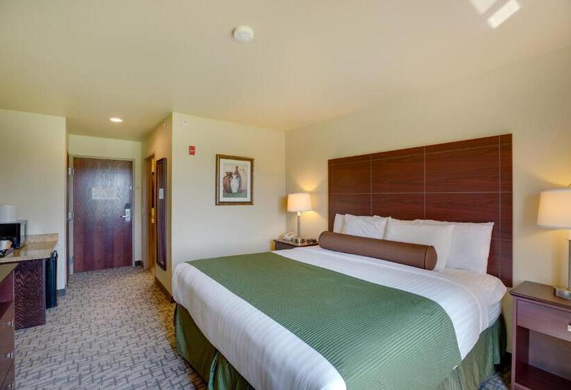 Стандартный Номер Кровать Кинг, Cobblestone Inn & Suites  Clintonville