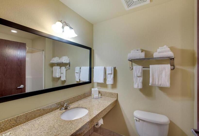 Люкс Кровать Кинг, Cobblestone Inn & Suites  Clintonville