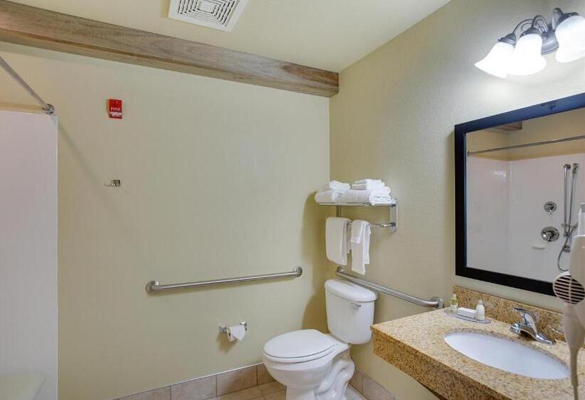 Номер Стандарт Кровать Кинг Адаптированный для Инвалидов, Cobblestone Inn & Suites  Clintonville