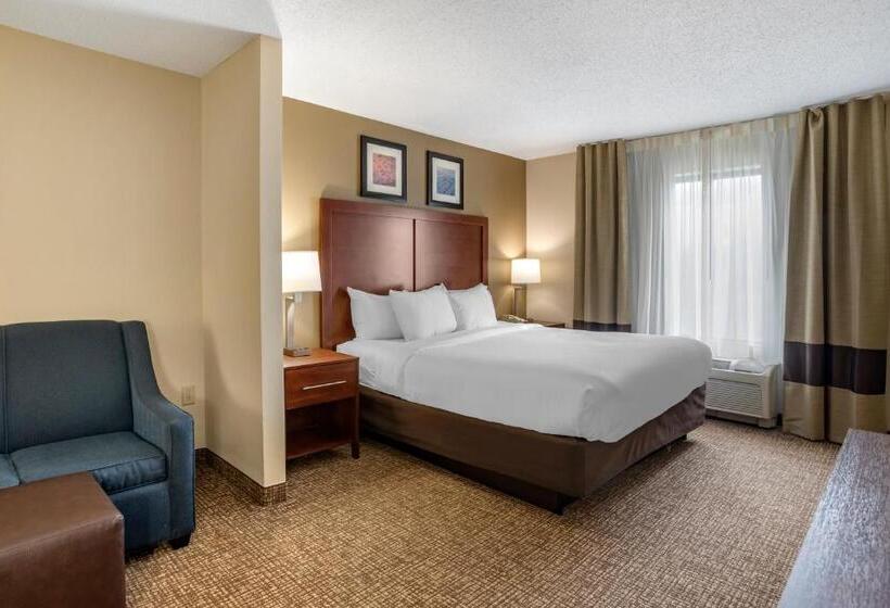 Стандартный Номер Кровать Кинг, Comfort Inn & Suites Cambridge