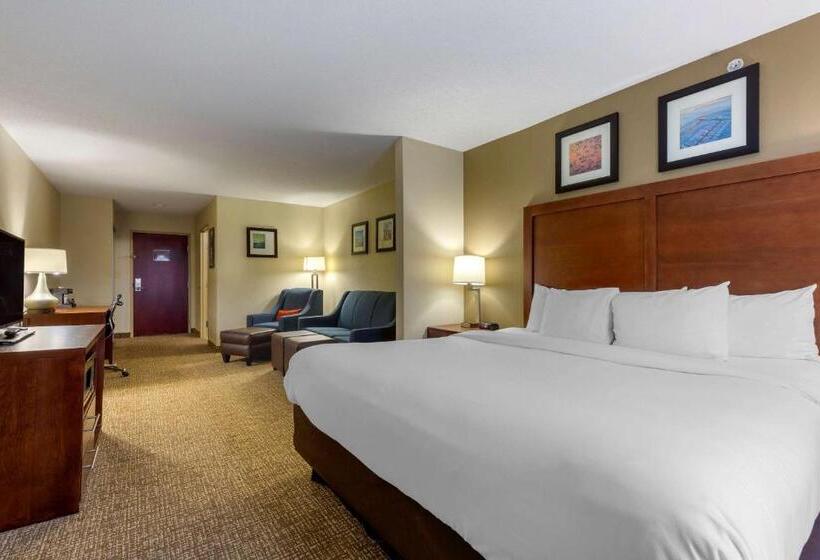 Стандартный Номер Кровать Кинг, Comfort Inn & Suites Cambridge