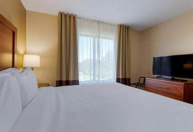 Люкс Кровать Кинг, Comfort Inn & Suites Cambridge