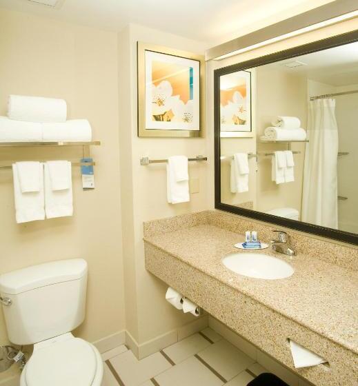 Люкс, Fairfield Inn & Suites By Marriott Chesapeake Suffolk