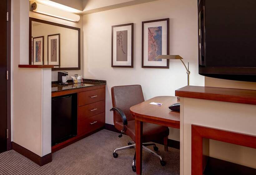 带2个双人床的标准工作室, Hyatt Place Seattle Downtown
