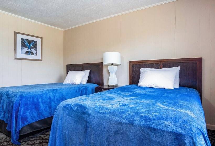 Номер Стандарт, OYO Hotel Opp AL, Floral Hwy