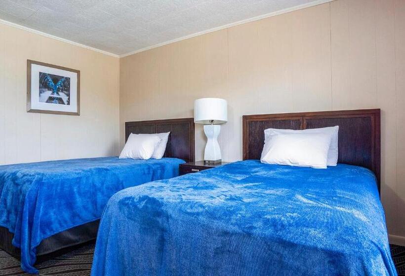 Номер Стандарт, OYO Hotel Opp AL, Floral Hwy