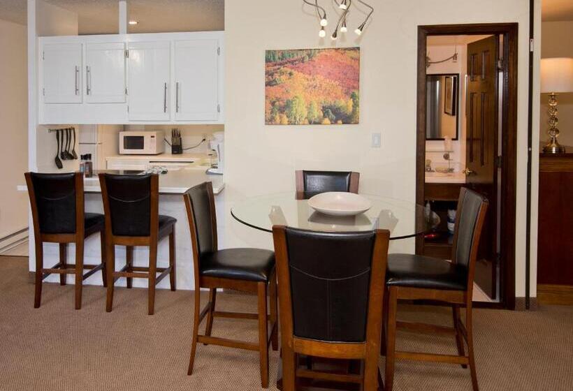 带1个卧室的公寓, Vail Run Resort