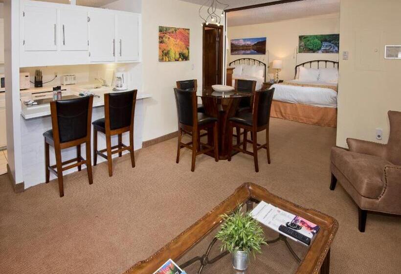 带1个卧室的公寓, Vail Run Resort