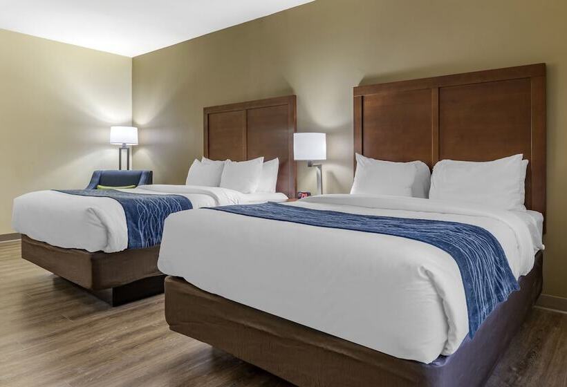 스탠다드 룸 더블 침대 2개, Comfort Inn & Suites High Point  Archdale