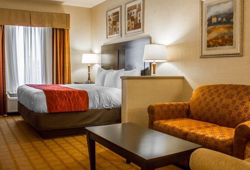 Люкс, Comfort Suites Edinboro