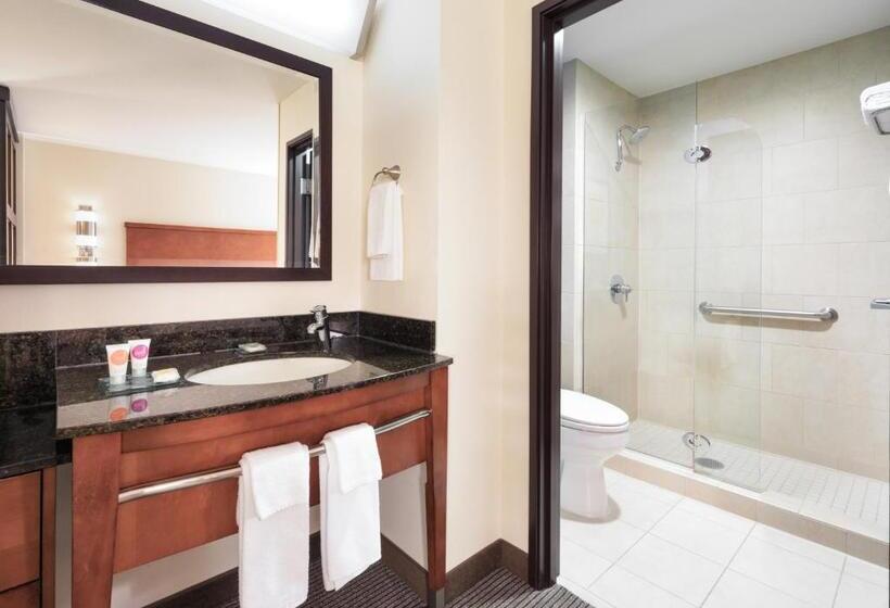 Номер Стандарт Кровать Кинг Адаптированный для Инвалидов, Hyatt Place South Bend/mishawaka