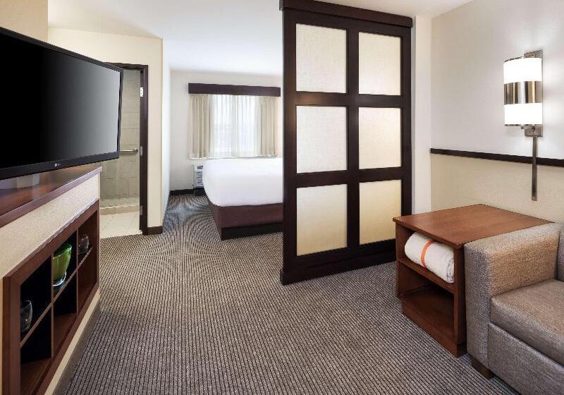 Стандартный Номер Кровать Кинг, Hyatt Place South Bend/mishawaka