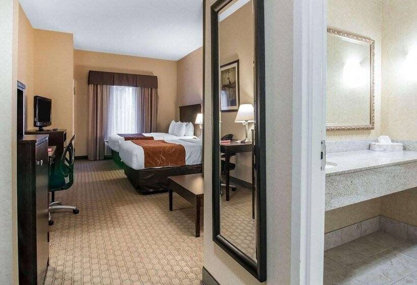 Люкс Адаптированный для Инвалидов, University Inn