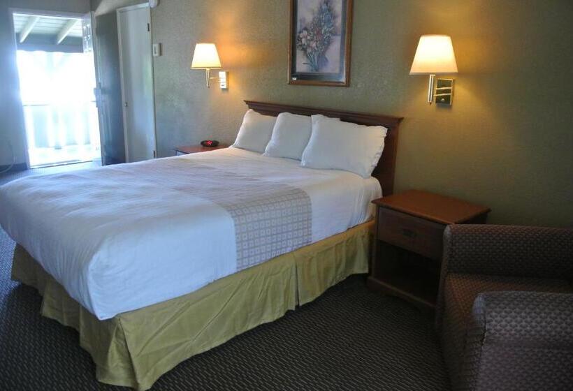 스탠다드 룸, Vino Inn & Suites