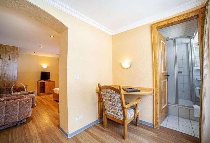 اتاق استاندارد, Sport  Und Vitalhotel Seppl