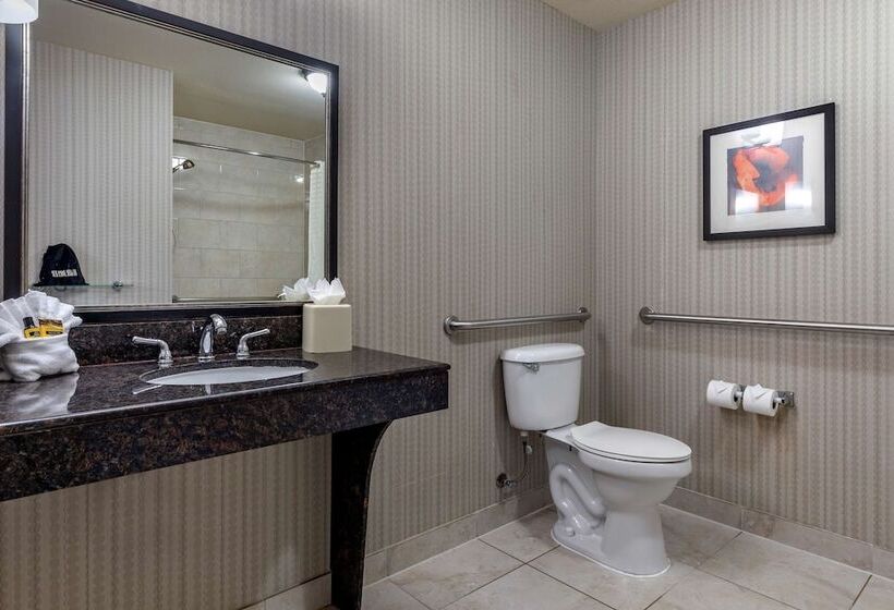 套房, Best Western Plus Dfw Airport West Euless