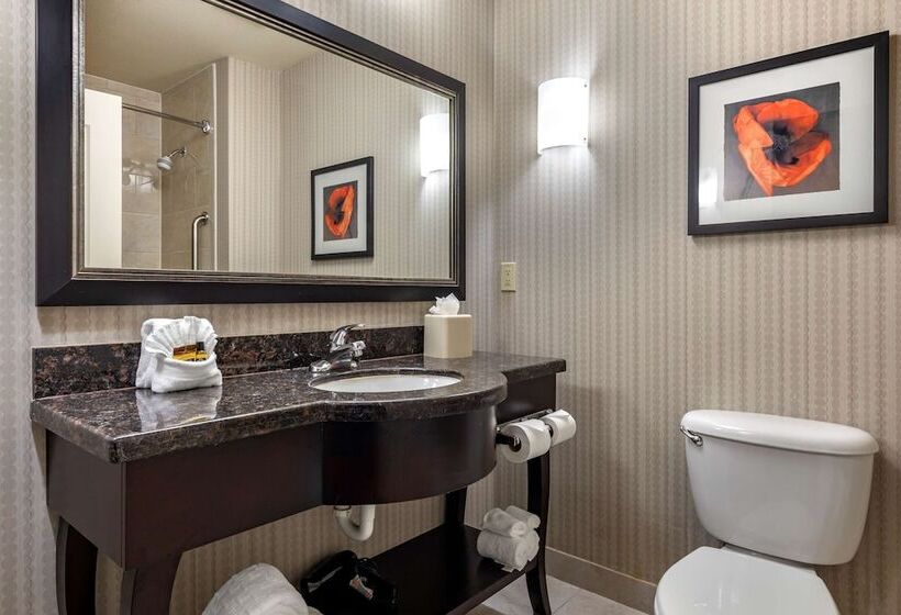 套房, Best Western Plus Dfw Airport West Euless