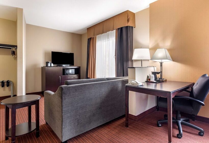 套房, Best Western Plus Dfw Airport West Euless