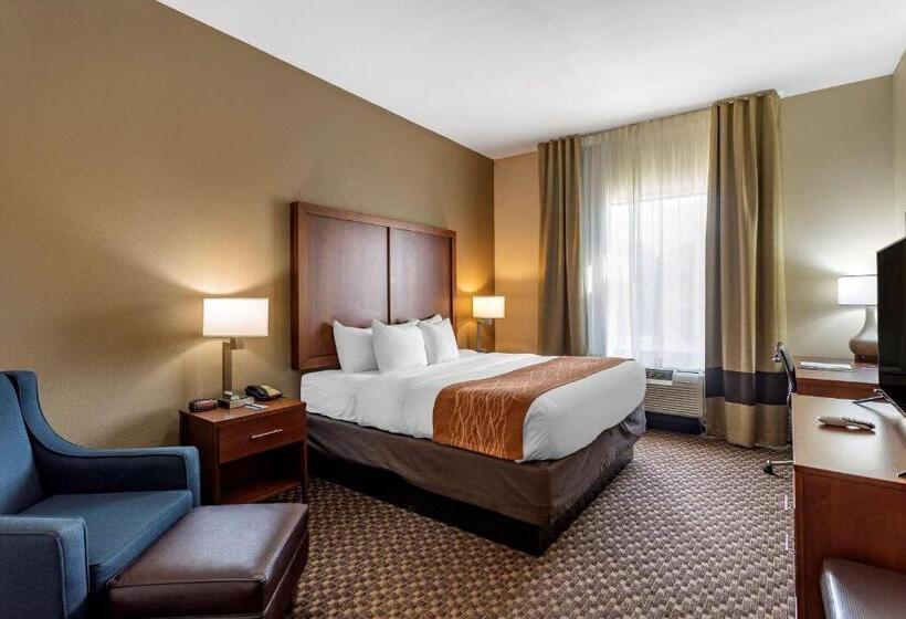 스탠다드 룸 킹사이즈 침대, Comfort Inn & Suites Atokamillington