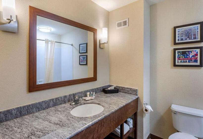 스탠다드 룸, Comfort Inn & Suites Atokamillington