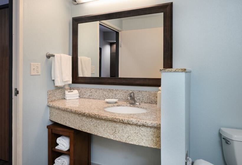 Номер Стандарт Двуспальная Кровать, Courtyard By Marriott New Braunfels River Village