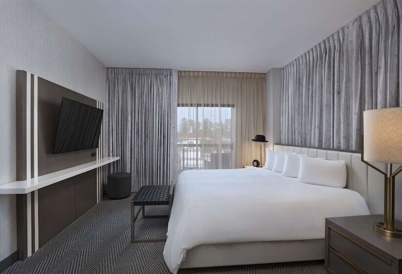 Люкс Повышенной Комфортности, Hyatt Centric The Woodlands
