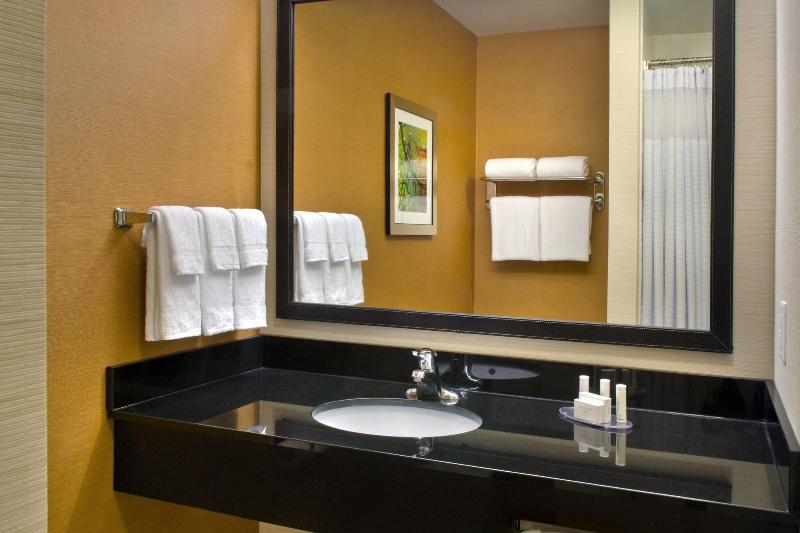 带大床的套房, Fairfield Inn & Suites By Marriott Watertown Thousand Islands