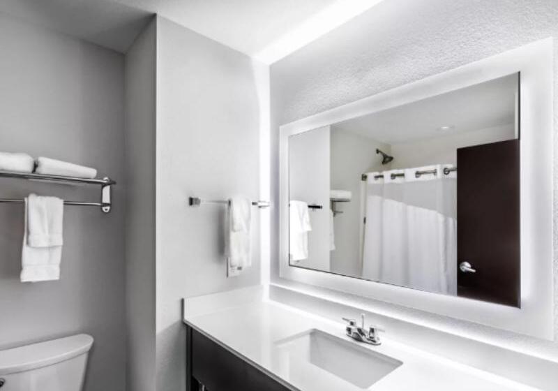 Номер Стандарт Кровать Кинг Адаптированный для Инвалидов, Holiday Inn Express & Suites Austin Nw   Lakeway By Ihg