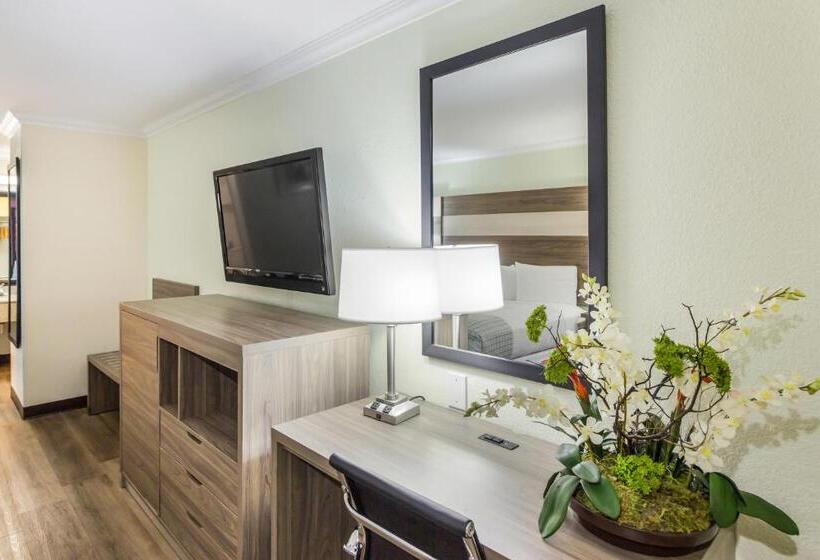 스탠다드 룸 킹사이즈 침대, Americas Best Value Inn Columbus