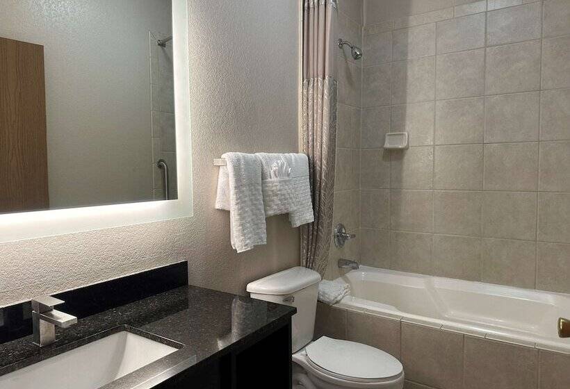 Номер Стандарт 2 Двуспальные Кровати, Best Western Halito Inn