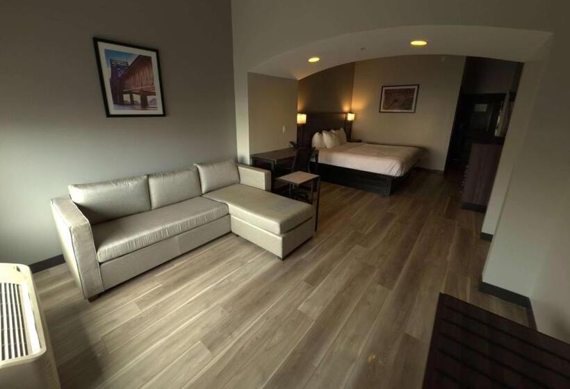 חדר אקזקיוטיב חדר קינג, La Quinta By Wyndham Gonzales La