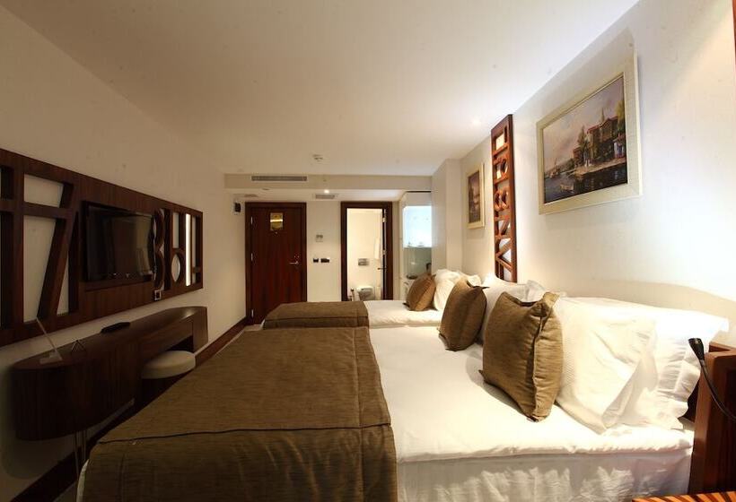 スタンダードルーム, Victory Hotel & Spa Istanbul
