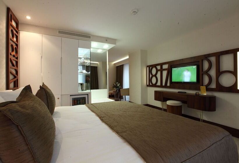 スタンダードシングルルーム, Victory Hotel & Spa Istanbul