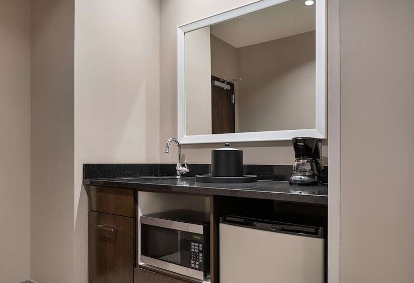 Студия Стандарт Двуспальная Кровать, Hampton Inn & Suites Denver Downtownconvention Center