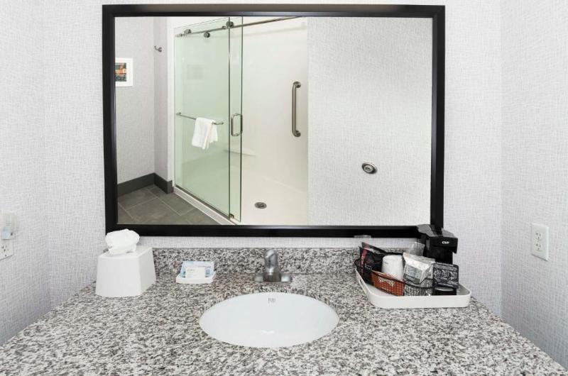 스탠다드 룸 킹사이즈 침대, Hampton Inn & Suites Raleigh Downtown